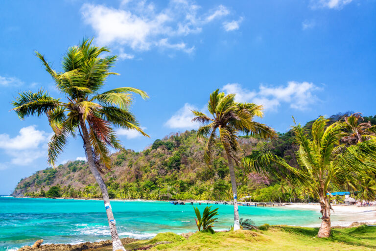 Best Snorkeling In Panama
