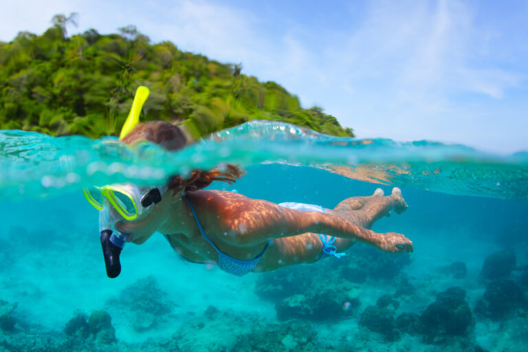 Dry Snorkel Vs Wet Snorkel